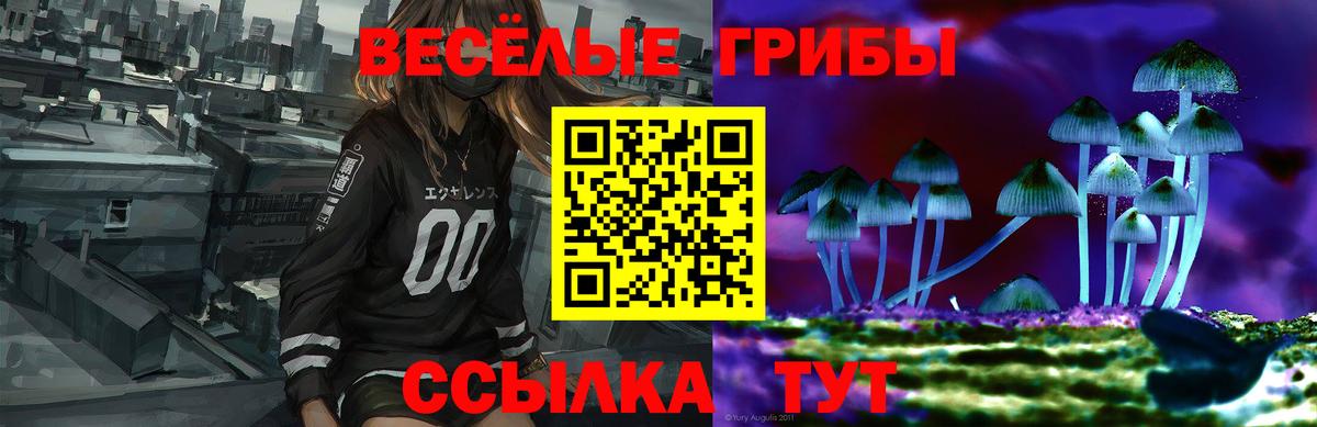 Псилоцибиновые грибы ЛСД  Вход с VPN  Бузулук 
