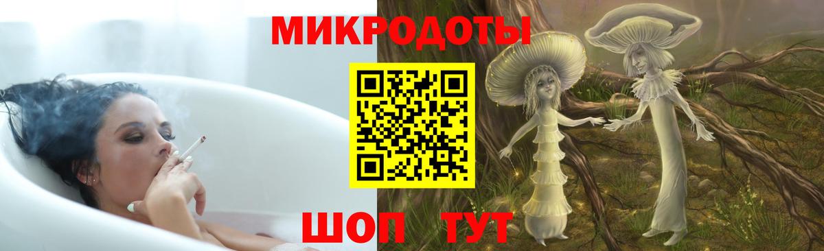 Галлюциногенные грибы Psilocybine cubensis Бузулук